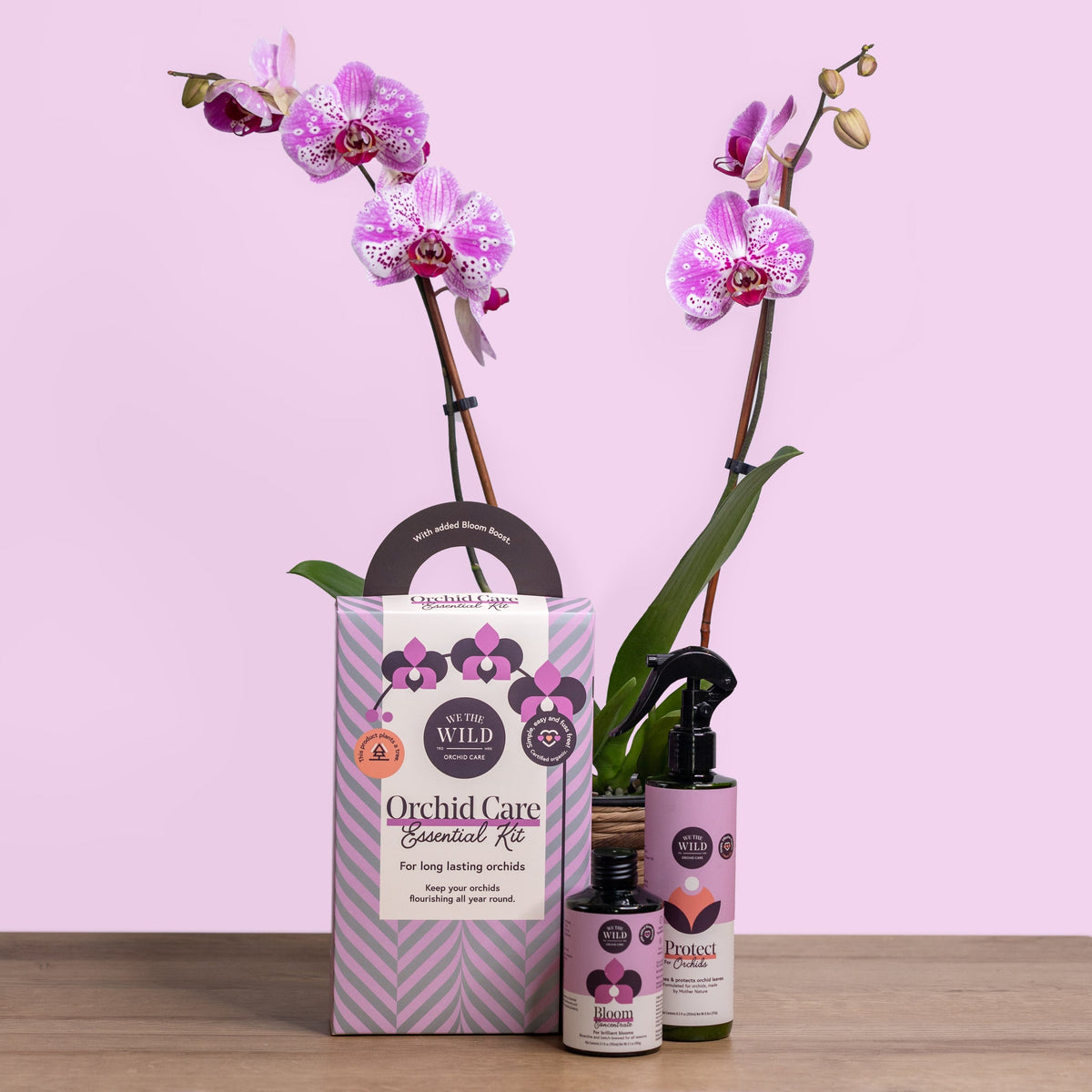 Orchid Care Duo